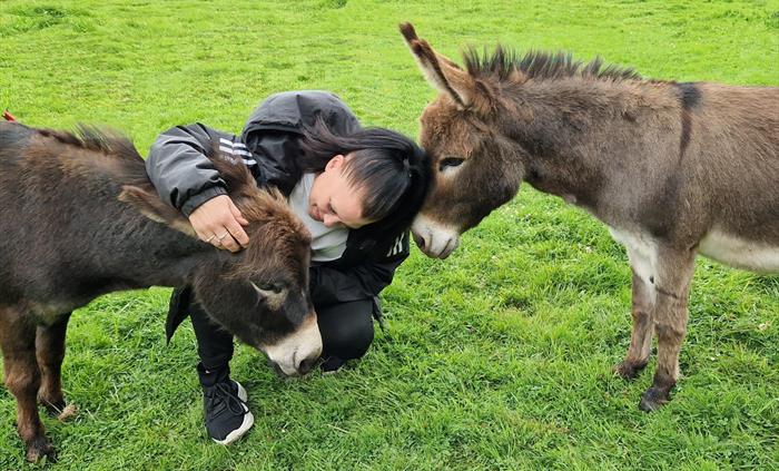 Enjoy a relaxing time on the Good Day Out mini donkey hugging experience in the Brecon Beacons / Bannau Brycheiniog